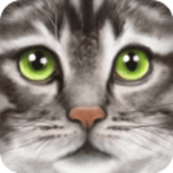 终极猫模拟器游戏