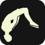 疯狂后空翻2游戏