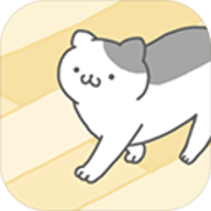 猫咪很可爱可我是幽灵