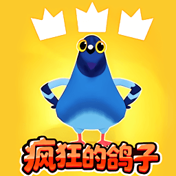 疯狂的鸽子挑战游戏