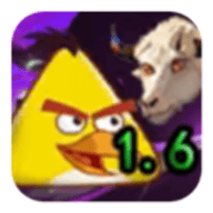 我的鸟随机游戏