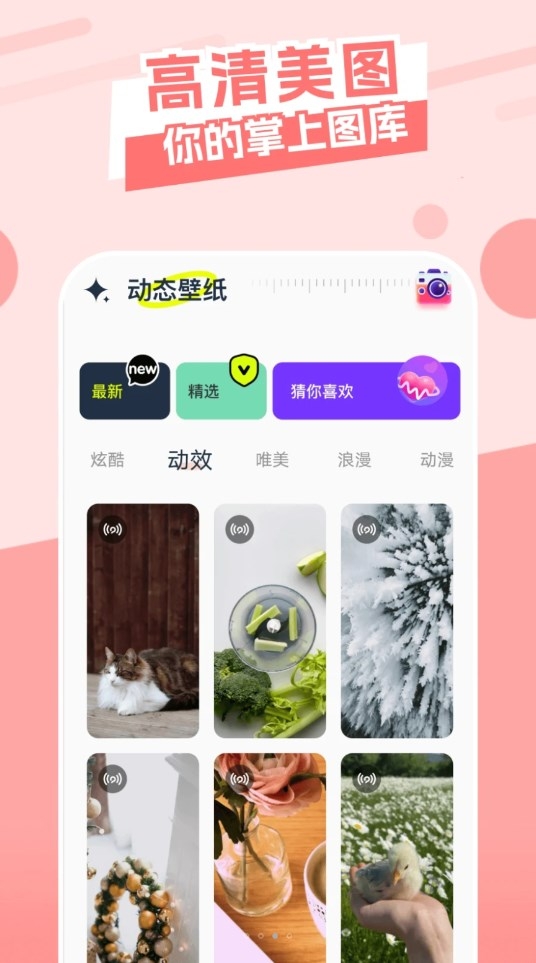 主题库精灵软件截图3