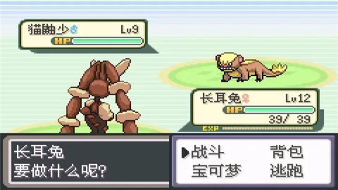 口袋妖怪无名汉化版截图3