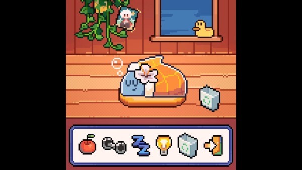 我的小鲨鱼游戏截图4