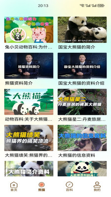 小熊猫CZR截图1