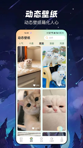 梦幻乐园壁纸免费版截图3