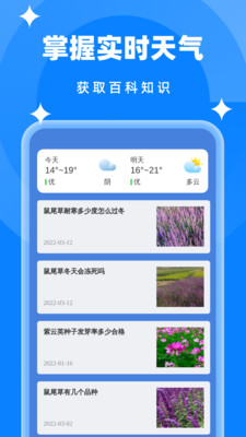 简单清理垃圾截图2