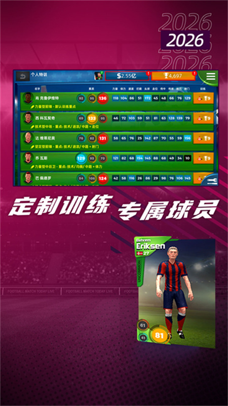 梦幻足球世界汉化版截图5