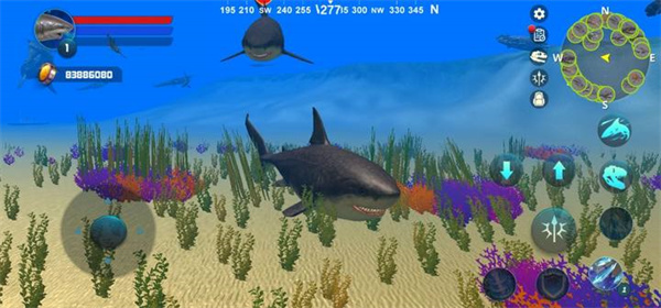 巨齿鲨模拟器中文版(Megalodon Simulator)