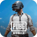 和平精英国际服(PUBG Mobile)