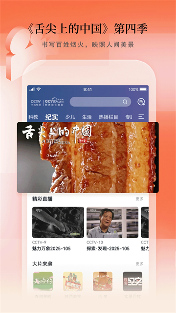 CCTV手机电视截图1