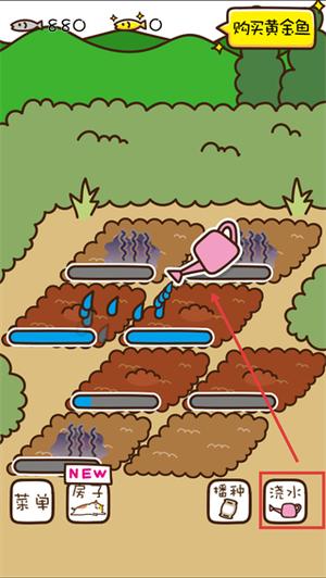 猫咪田园游戏截图1