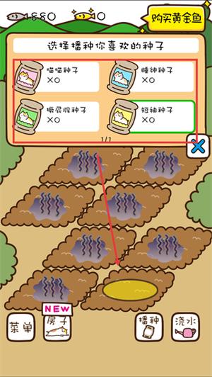 猫咪田园游戏截图2