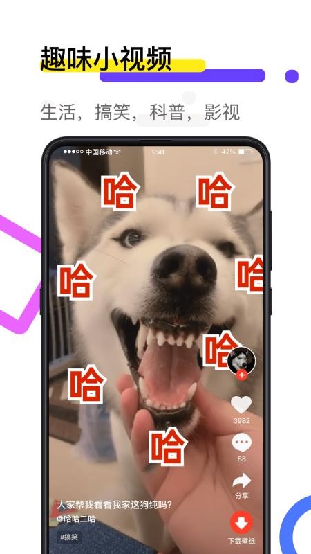 火萤透明壁纸截图2