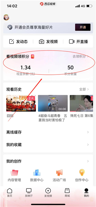 西瓜视频极速版app
