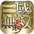 真三国无双霸国际服