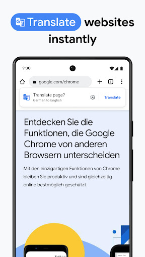 Chrome旧版本