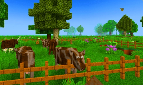 我的新世界截图1