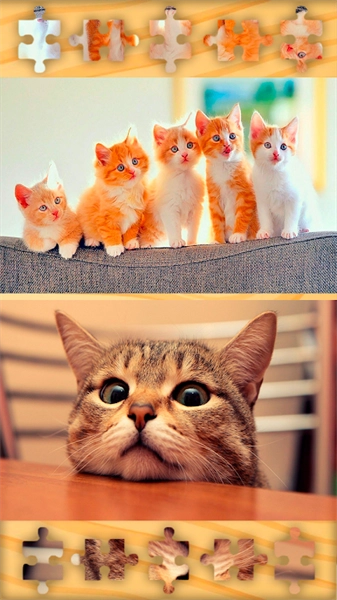 可爱猫猫拼图截图3