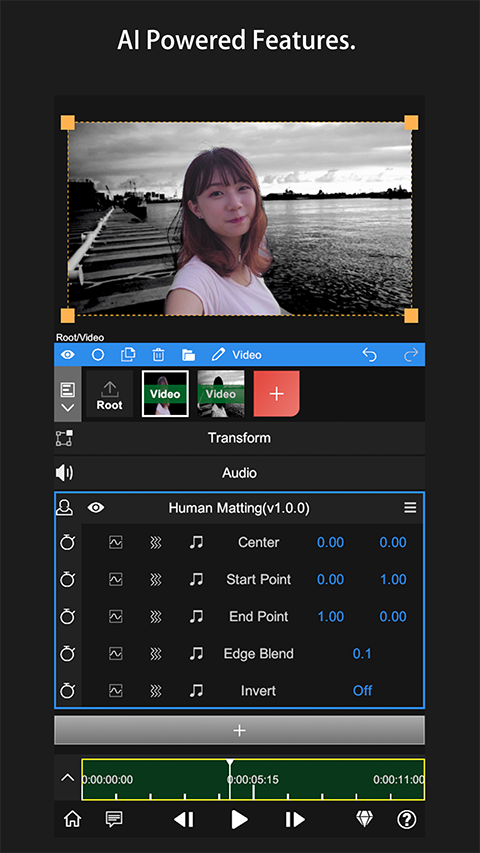 nv剪辑软件NodeVideo中文版截图3