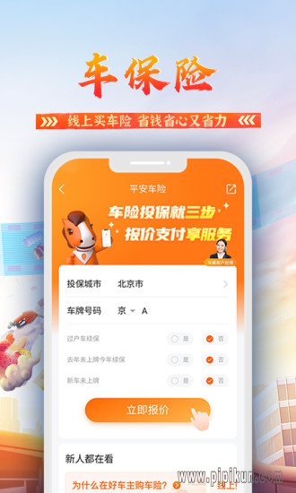 平安好车主截图1