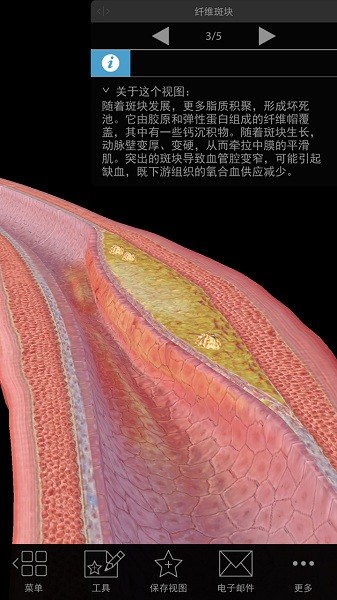 3d生理和病理学软件截图1