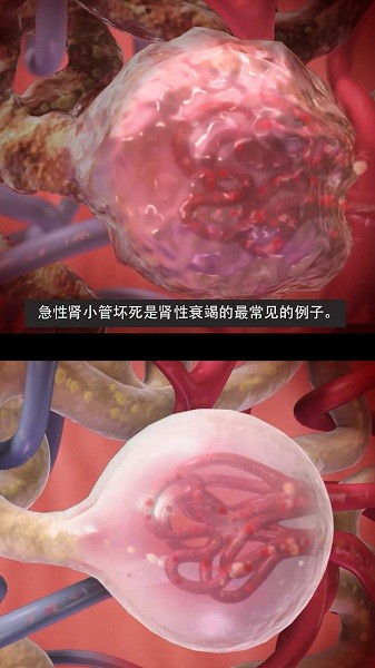 3d生理和病理学软件截图2