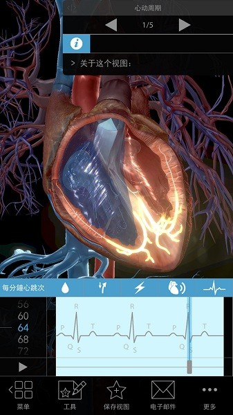 3d生理和病理学软件截图5