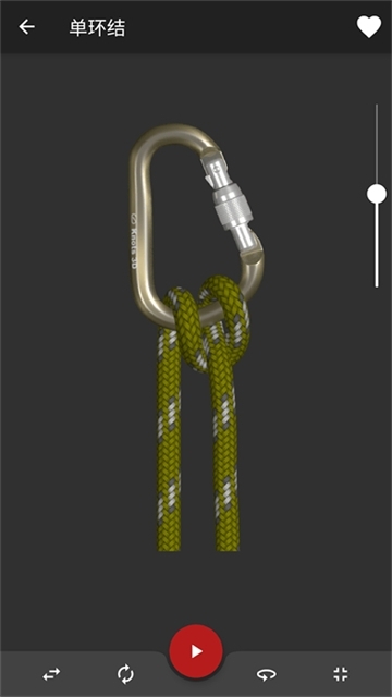 Knots 3D安卓官网截图1