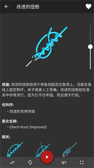 Knots 3D安卓官网截图4