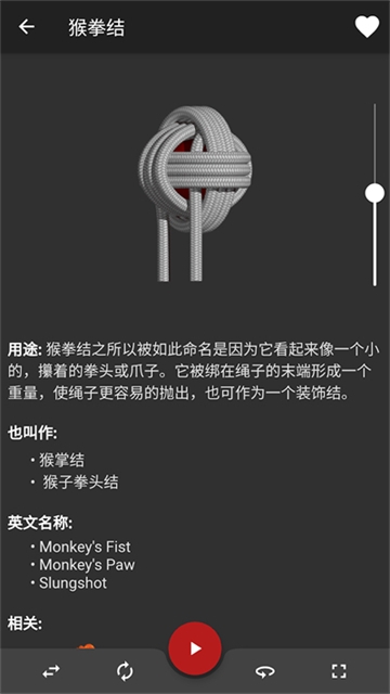 Knots 3D安卓官网截图3