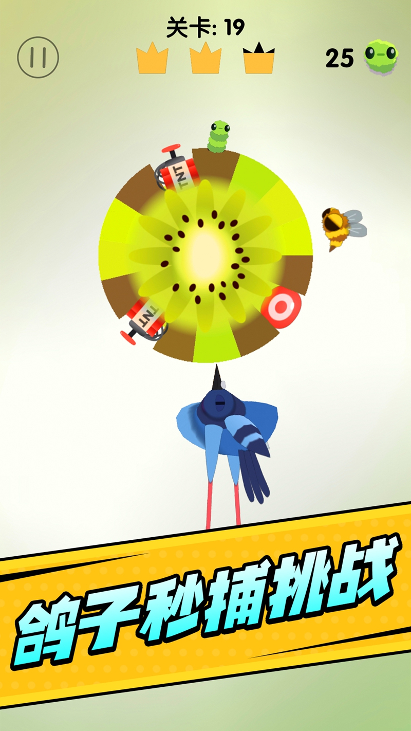 疯狂的鸽子挑战游戏截图2