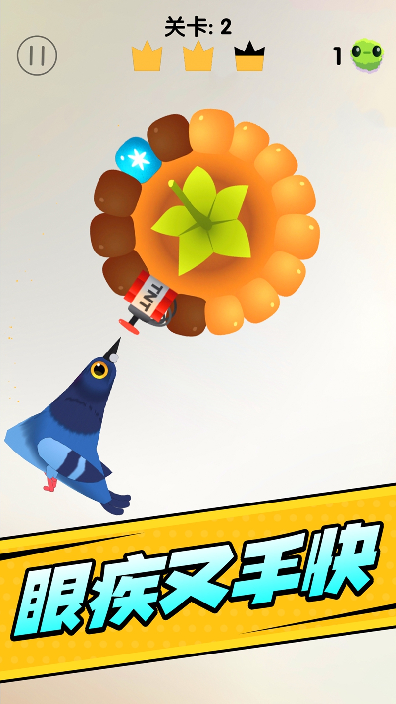 疯狂的鸽子挑战游戏截图3