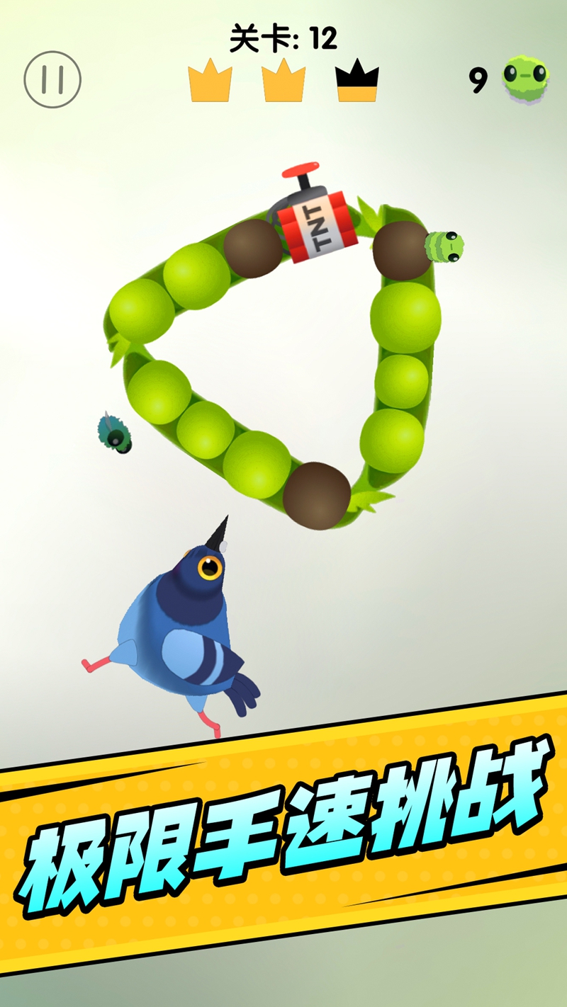 疯狂的鸽子挑战游戏