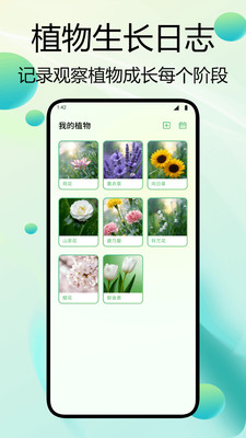 闪用识花截图2