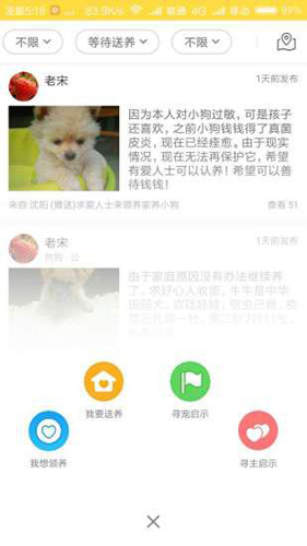 宠物领养APP截图1
