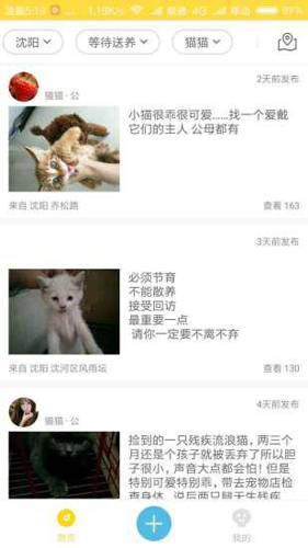 宠物领养APP截图3