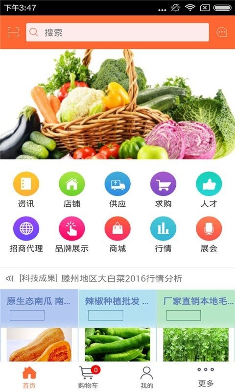 有机蔬菜截图4