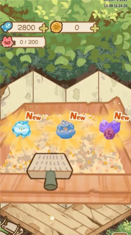 猫屋猫屎香游戏截图3