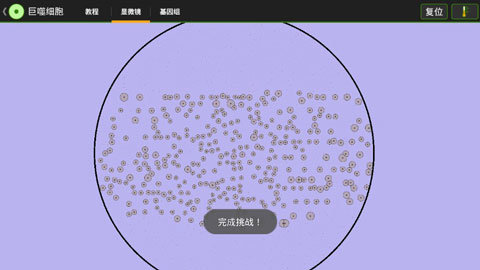 细胞实验室游戏