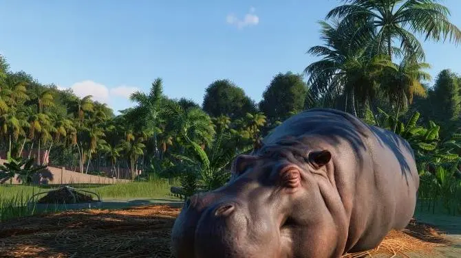 动物园之星截图1