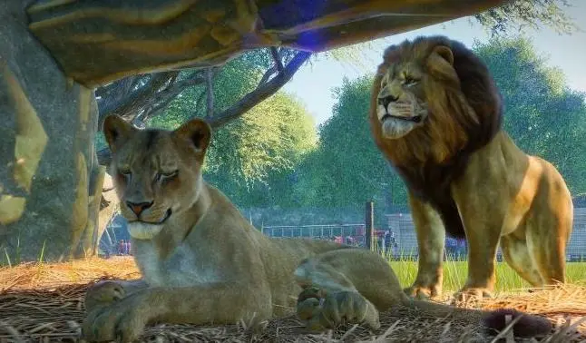 动物园之星截图5