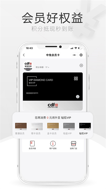 中免海南截图4