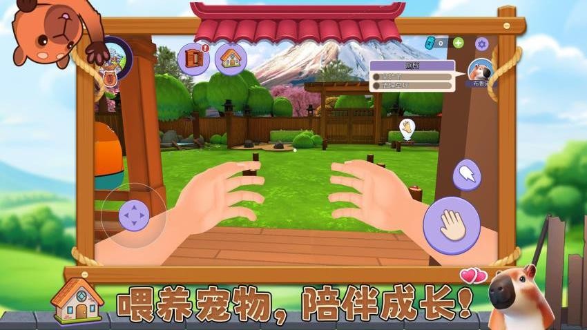 宠物消不停截图1