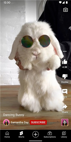 YouTube app截图2