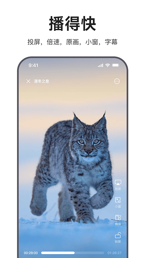 迅雷浏览器app截图3