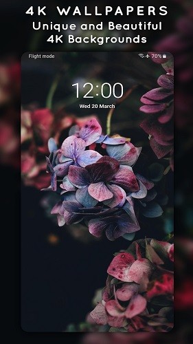 4K Wallpapers动态壁纸截图2