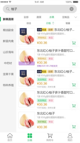 扑棱蛾截图2