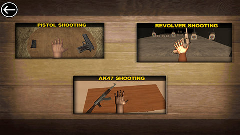 手掌模拟器截图2