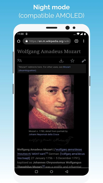 Kiwi Browser浏览器截图3